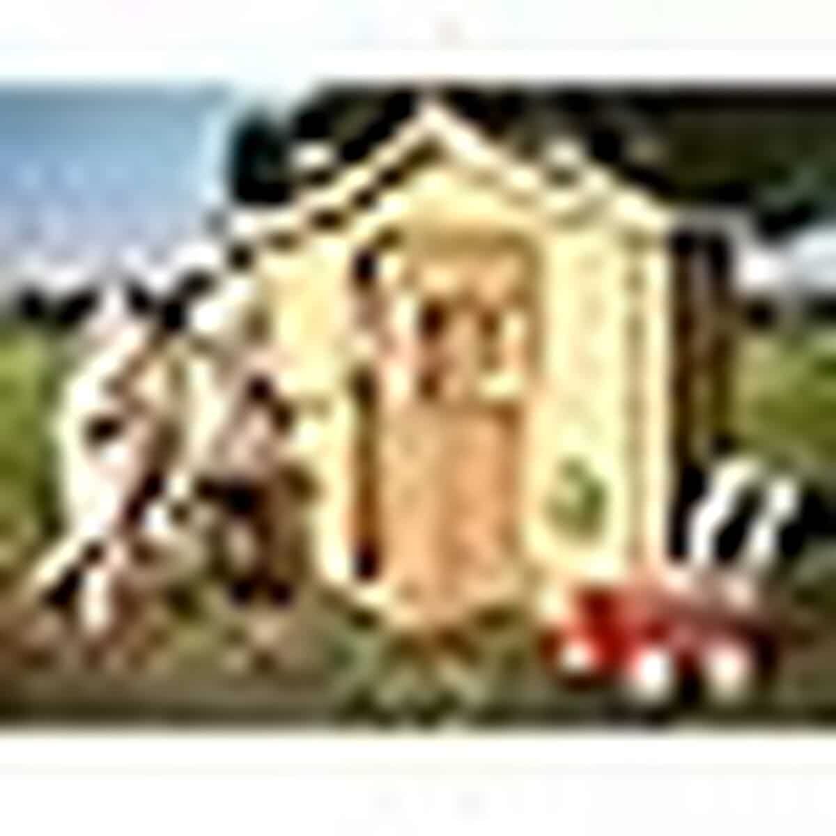 Avis : timbela M550-1, la cabane idéale pour petits explorateurs