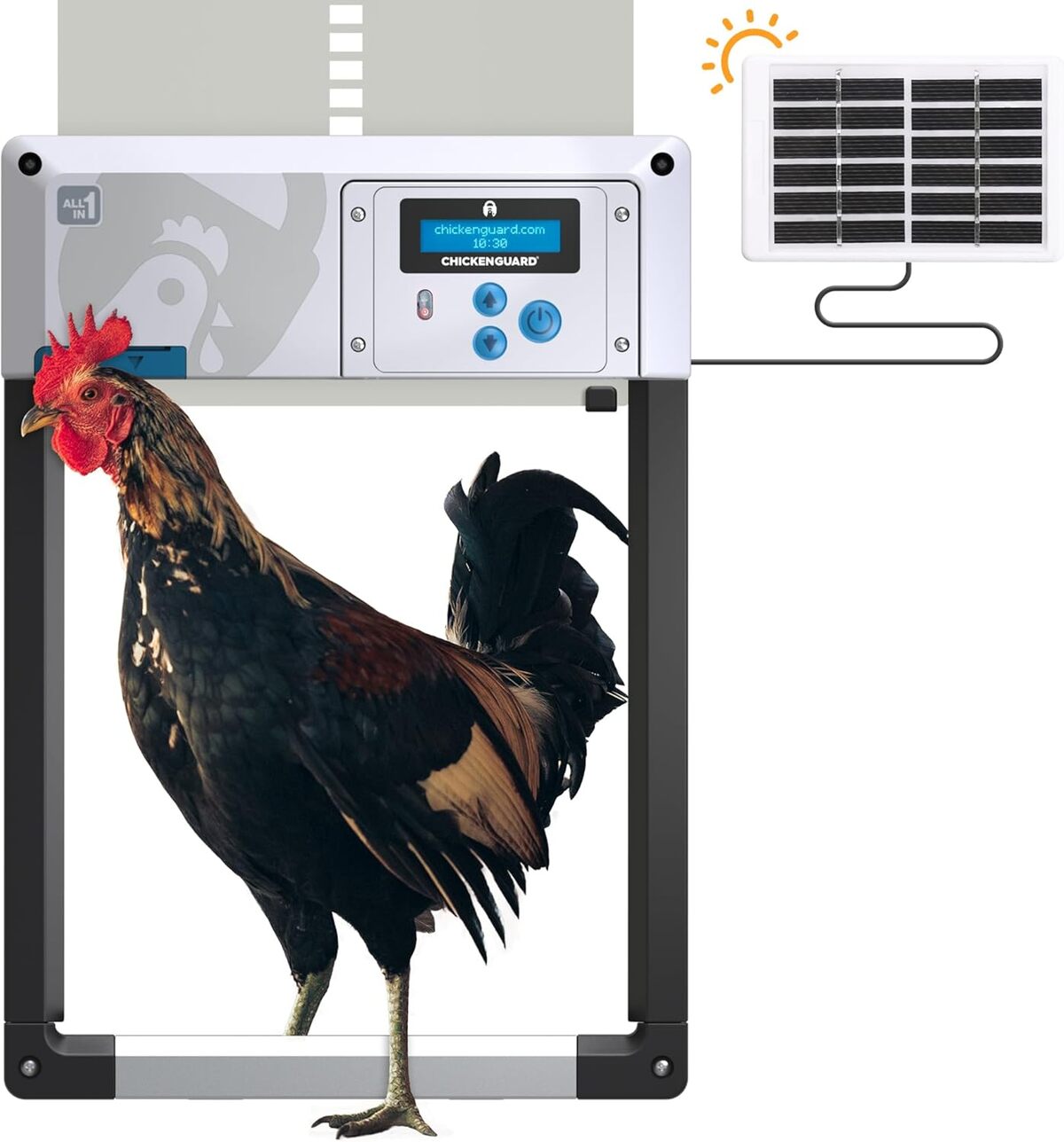 Test : chickenGuard All-in-One, porte automatique solaire pour poulailler