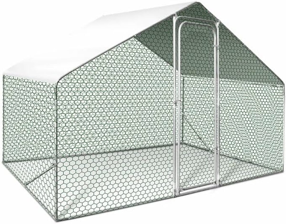 Test : enclos poulailler 6m²