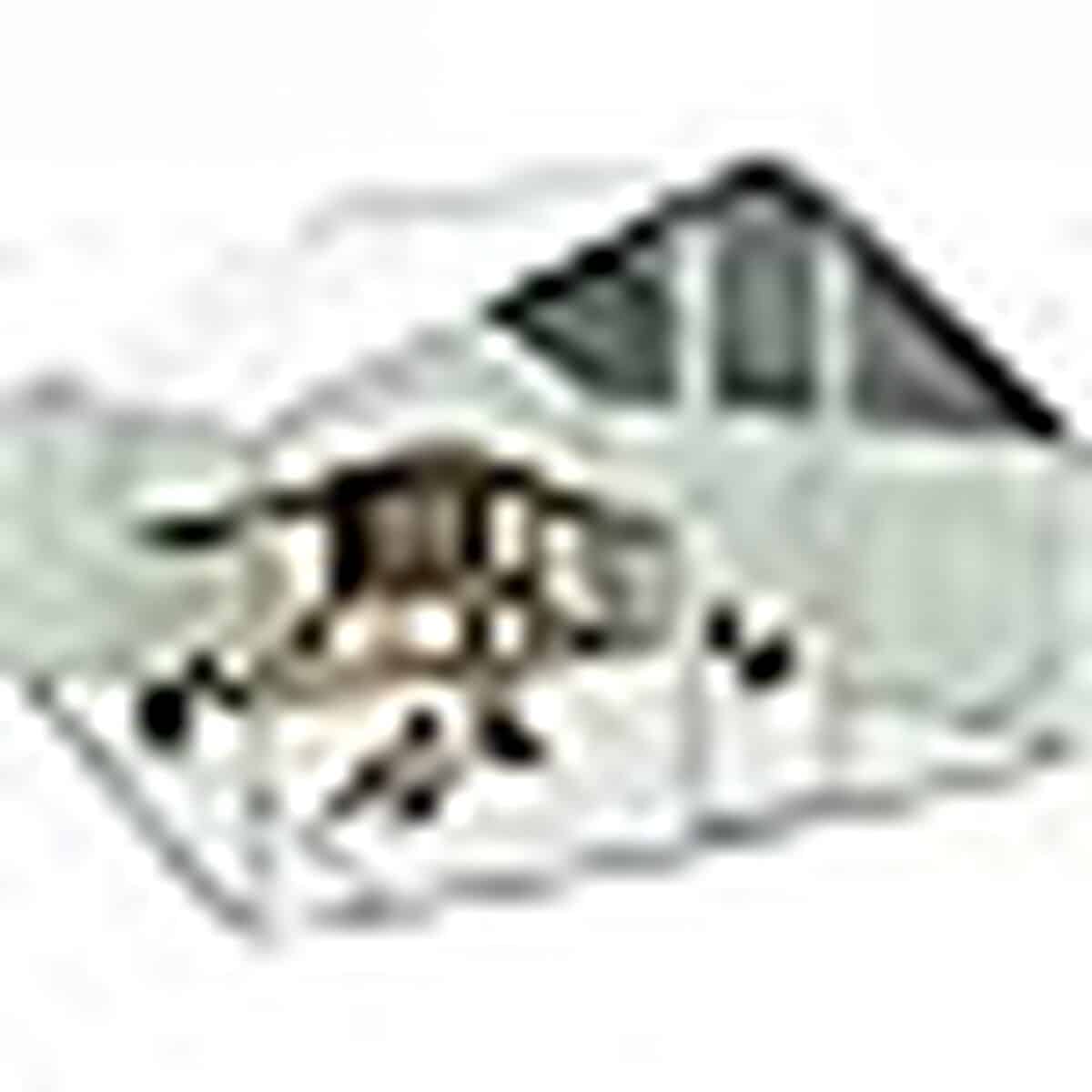 Test : enclos poulailler IDMarket 9 m² acier galvanisé