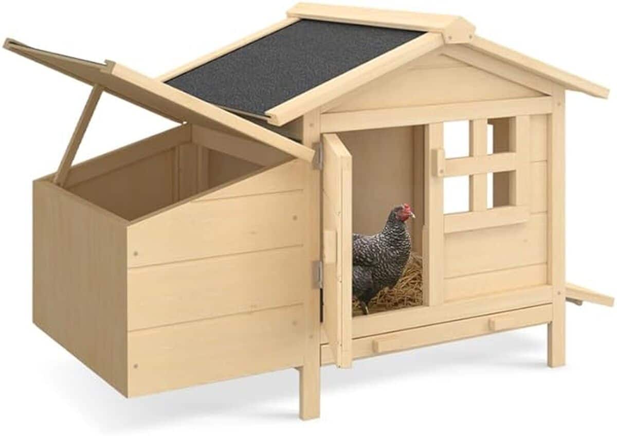 Avis poulailler IDMarket sur pilotis avec pondoir en bois