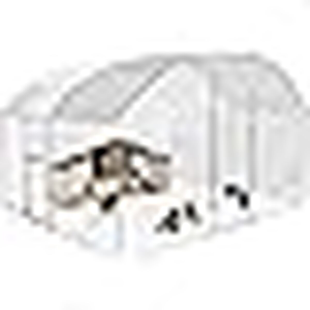 Test enclos poulailler dôme IDMarket 7, 5 m² : pratique et sécurisé