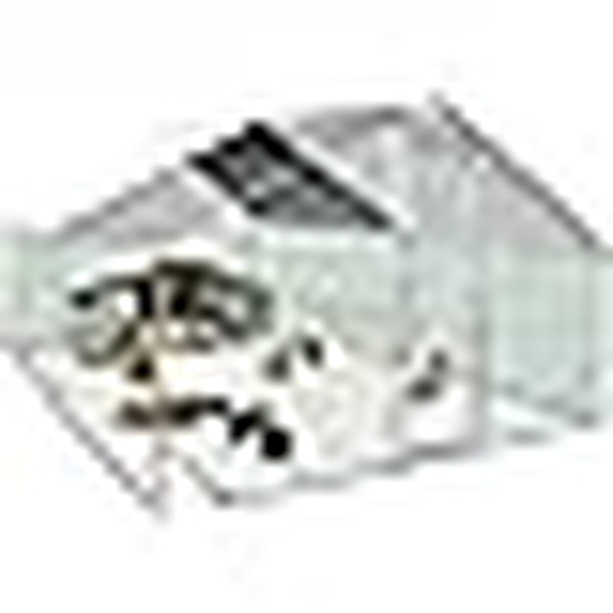 Test : enclos poulailler IDMarket 12 m² acier galvanisé