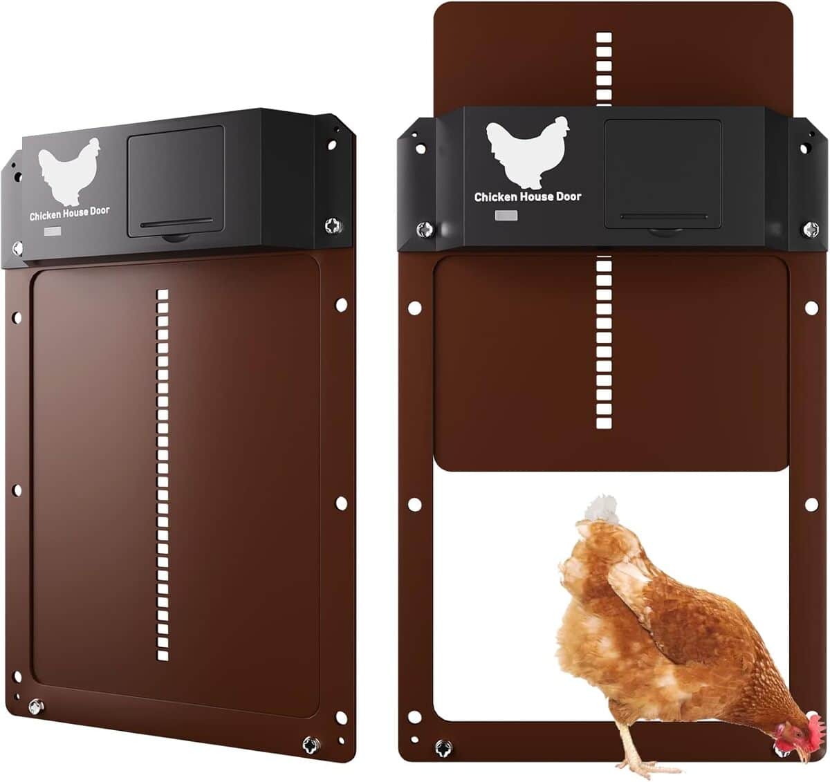 Test : porte automatique pour poulailler Yoarmyt
