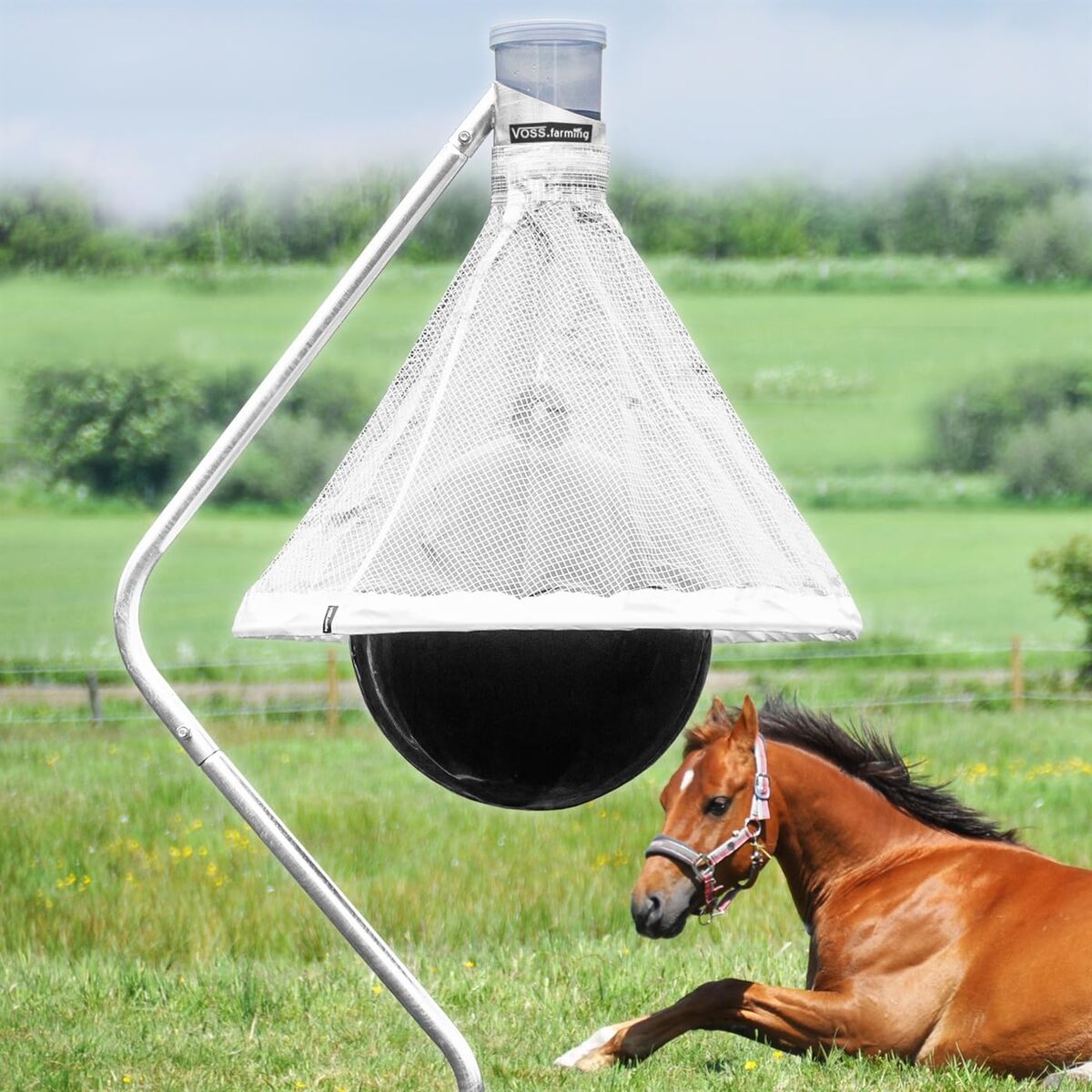 Test du piège à taons VOSS.farming Tabanus-Trap Edge