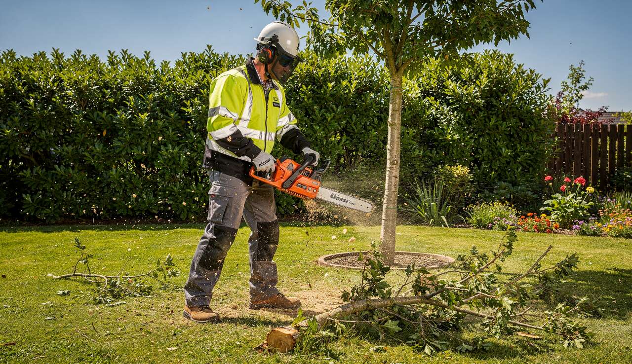 Comment abattre un arbre au jardin en toute sécurité ?