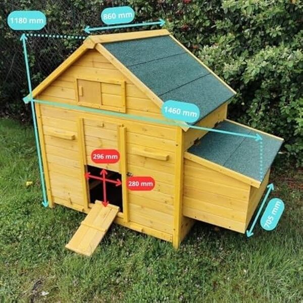 Découvrez notre analyse du poulailler Bassette XL Animal Valley : un modèle spacieux et pratique pour vos poules, conçu pour allier confort et efficacité dans votre élevage.