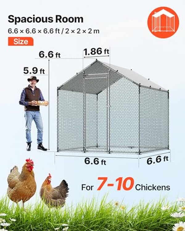 Découvrez notre analyse détaillée du poulailler Vevor 2 x 2 x 2 m : un choix sécurisant et spacieux pour vos poules. Améliorez leur confort extérieur avec ce poulailler robuste et pratique.