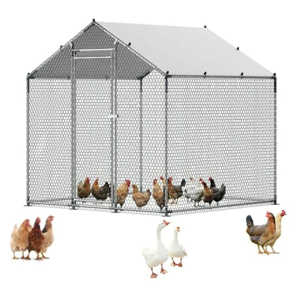 Test du poulailler métallique Vevor 2 x 2 x 2 m : sécurité et espace extérieur