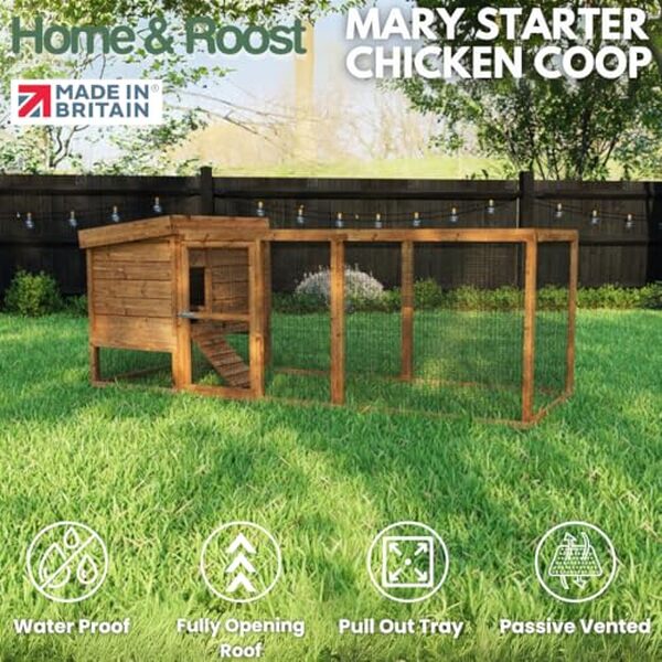 Découvrez notre test du poulailler Type 01 compact avec nichoir double : recommandations pour un hébergement optimal de vos poules