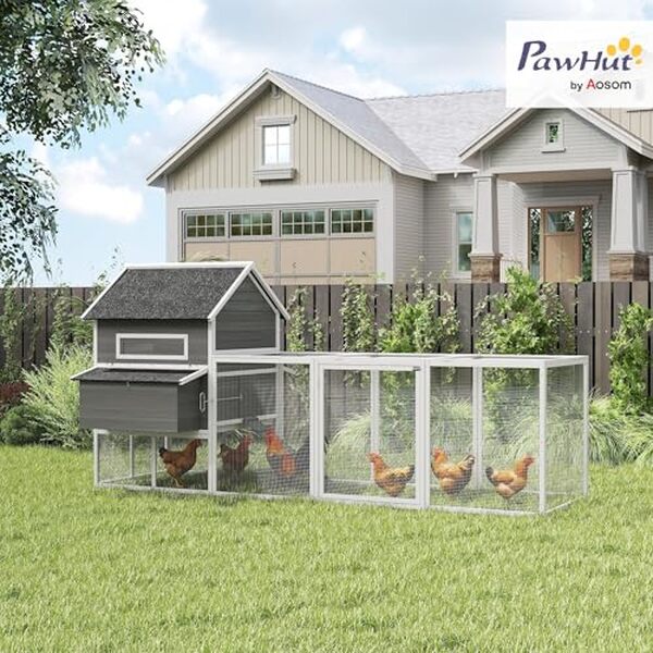 Découvrez notre test du poulailler PawHut 2 niveaux en bois capacité 8-10 poules : protection, espace et design à l'honneur pour bien élever vos poules