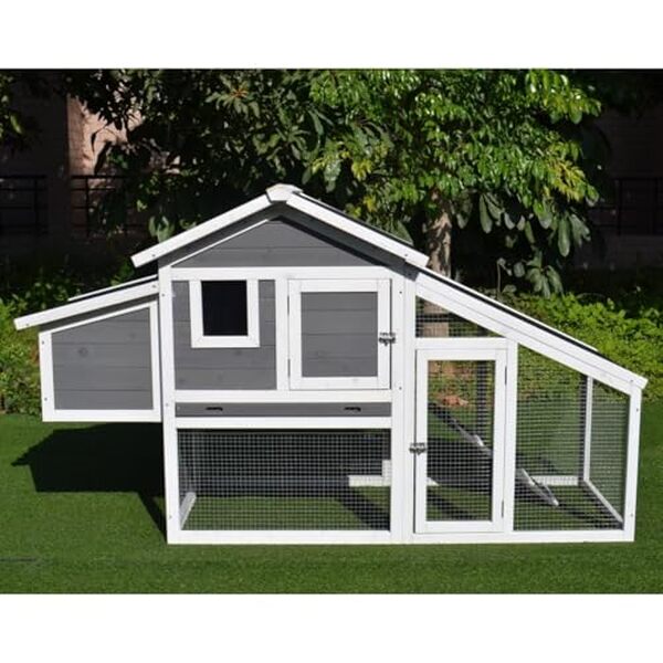 Découvrez notre évaluation détaillée du poulailler Animal Valley : capacités, avantages et conseils pour accueillir 2 à 4 poules dans votre jardin.