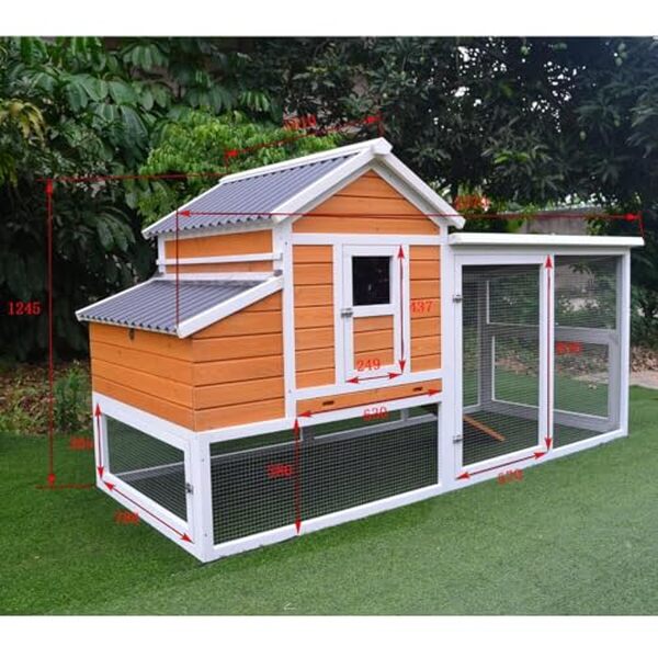 Découvrez notre avis sur le poulailler Animal Valley XL, alliant solidité et espace pour accueillir confortablement 6 à 8 poules dans les meilleures conditions