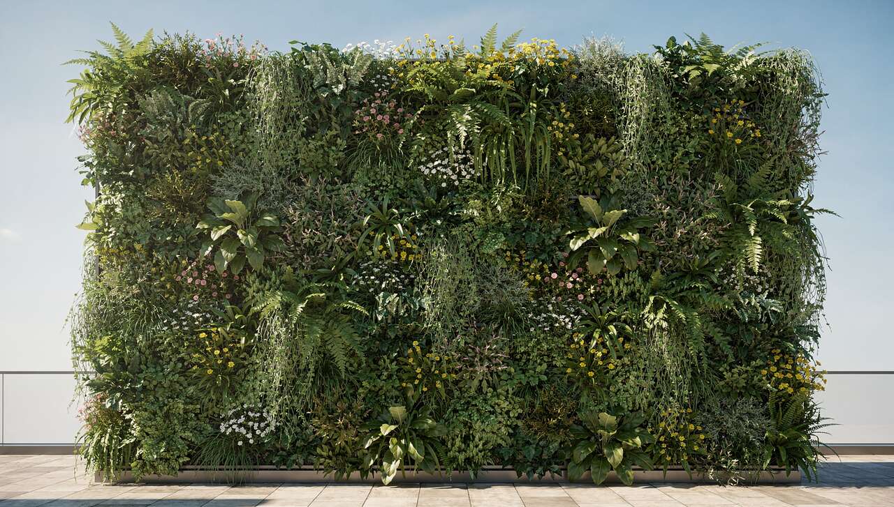 Créer un mur végétal pour une ambiance naturelle