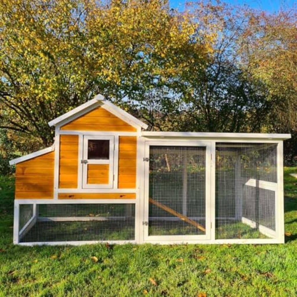 Test du poulailler Animal Valley XL : robustesse et confort pour 6 à 8 poules
