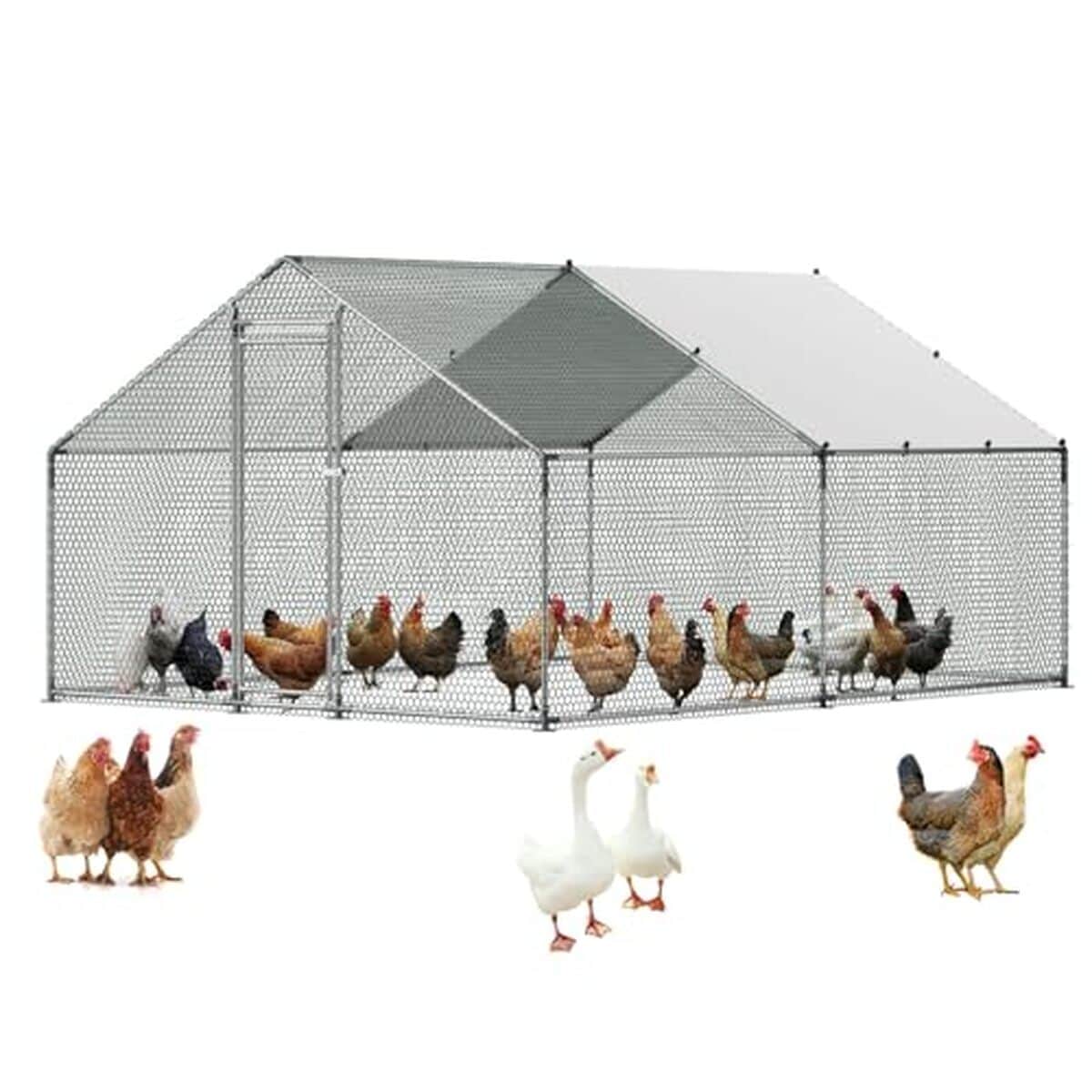 Test du poulailler métallique VEVOR avec toit en flèche