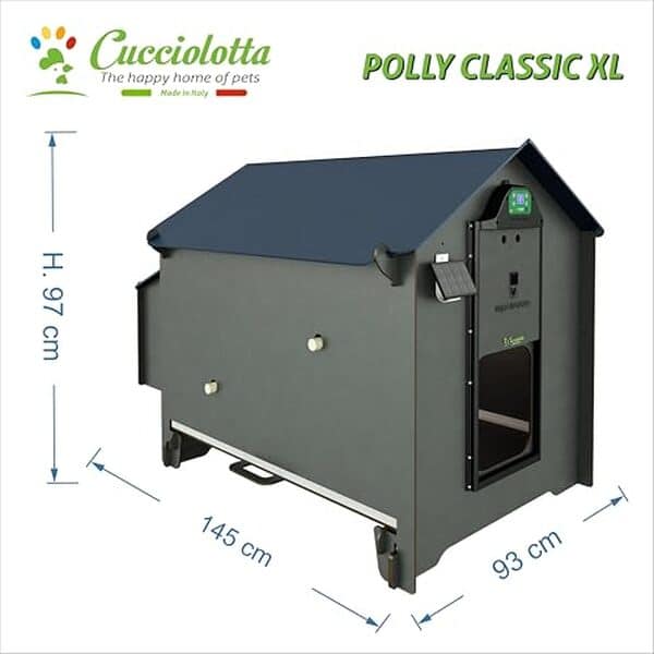 Découvrez notre analyse détaillée du poulailler Polly Classic Grey taille XL : un excellent choix pour allier confort et innovation pour vos poules, avec des atouts uniques en matière de design et de fonctionnalité.