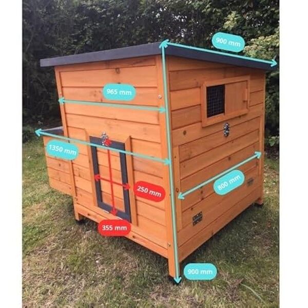 Découvrez notre test détaillé du poulailler Sussex XL : capacité pour 6 à 10 poules, qualité de construction et performances réelles. Avis complet et conseils d'achat. 