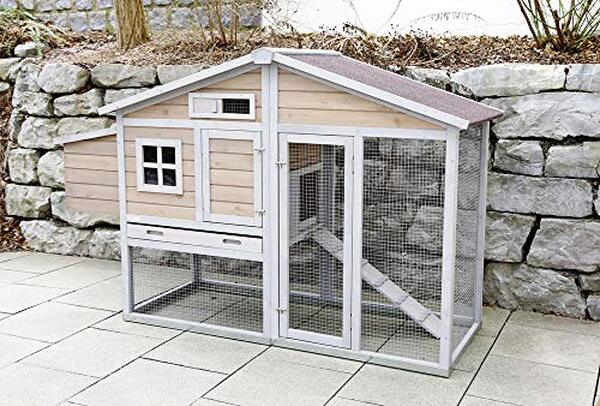 Découvrez notre test complet du poulailler urbain KERBL Bonny : design, espace, accessibilité et performances pour élever vos poules en ville. 