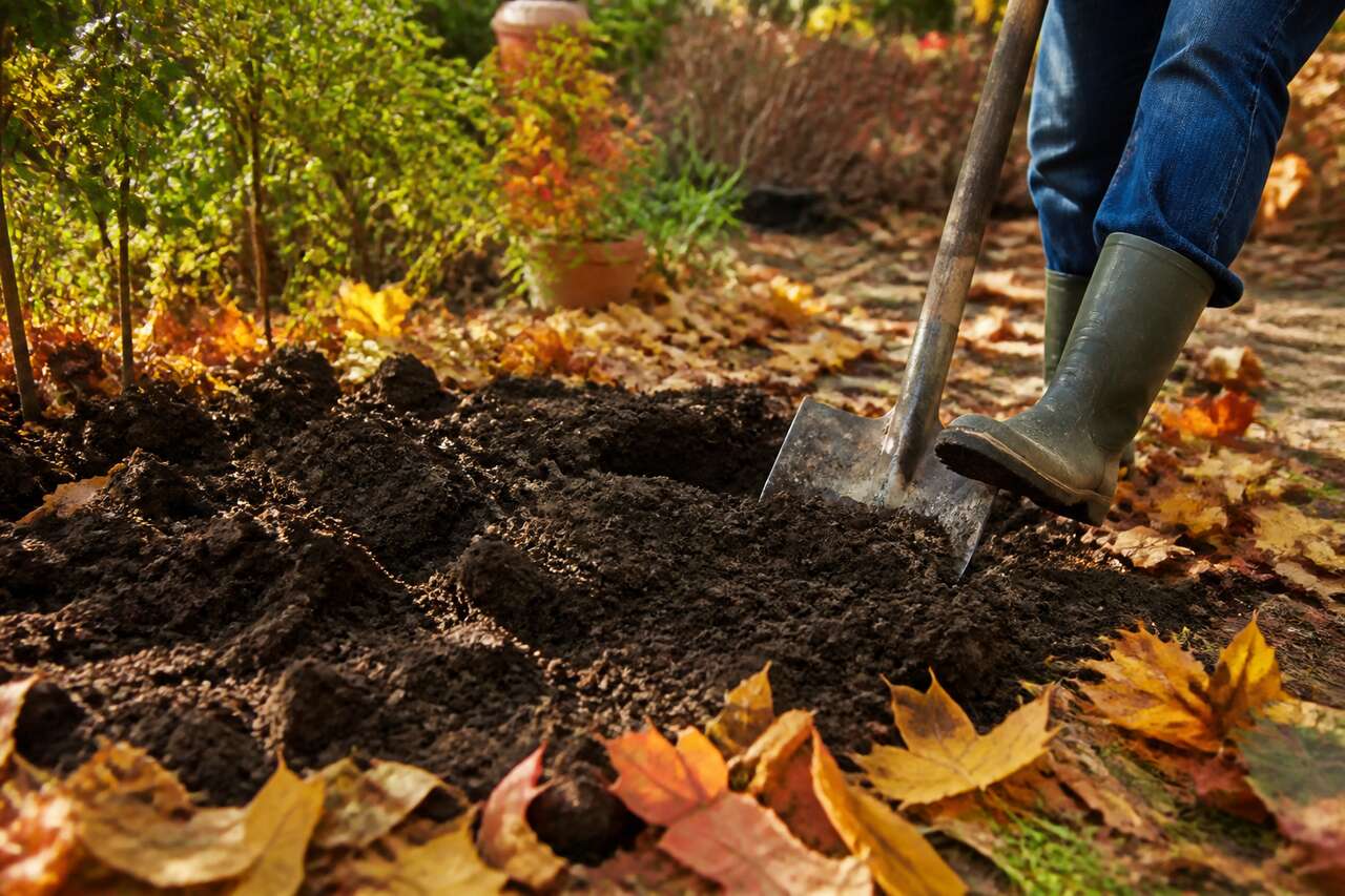 Préparer le sol du potager en automne : guide pratique