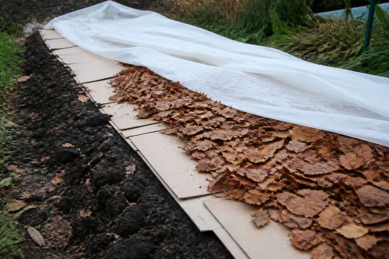 Prot&eacute;ger le sol tout l&rsquo;hiver: paillis, feuilles, b&acirc;che ou carton ?